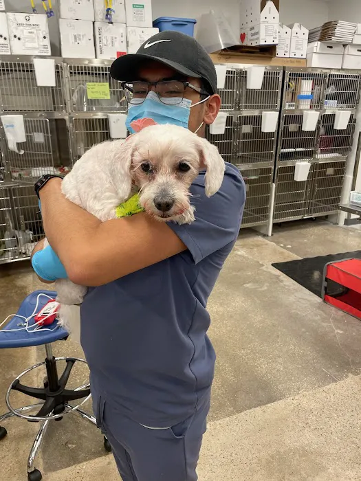 Thrive Pet Healthcare - Round Rock 5