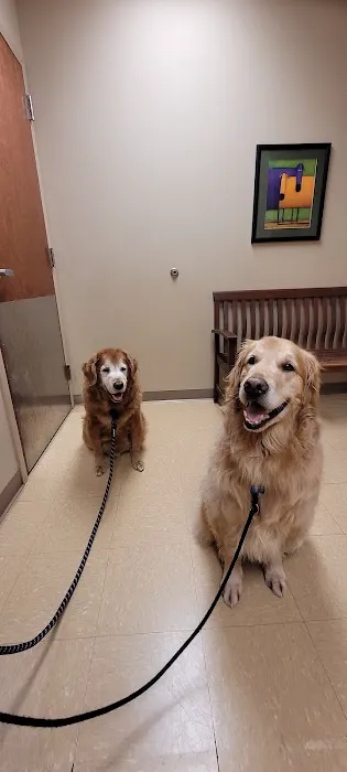 Carolina Animal Hospital of Creedmoor 2