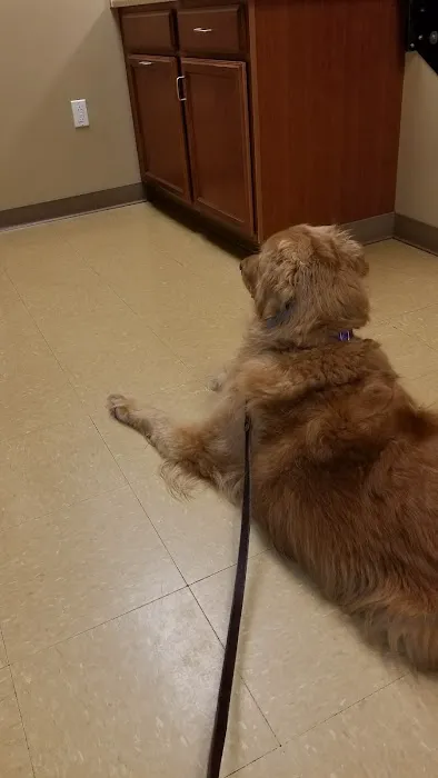 Carolina Animal Hospital of Creedmoor 3
