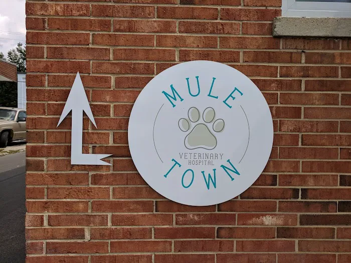 Mule Town Veterinary Hospital 8