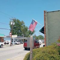 Mule Town Veterinary Hospital ico