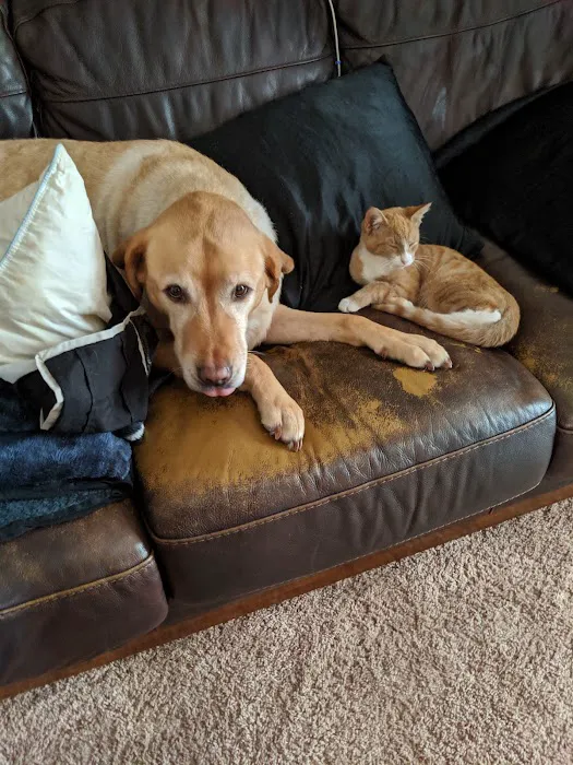 South Granville Animal Hospital 1