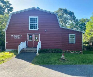 Monelison Animal Clinic