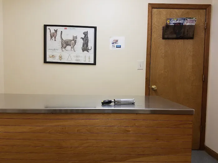 VCA Amherst Animal Hospital 12