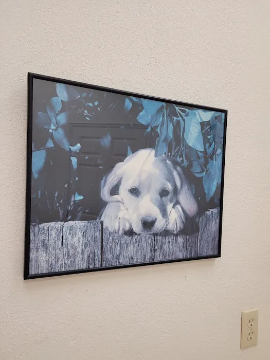 Orchard Animal Hospital 12