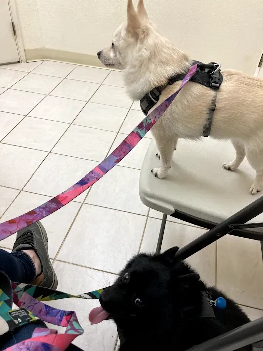 Orchard Animal Hospital 12