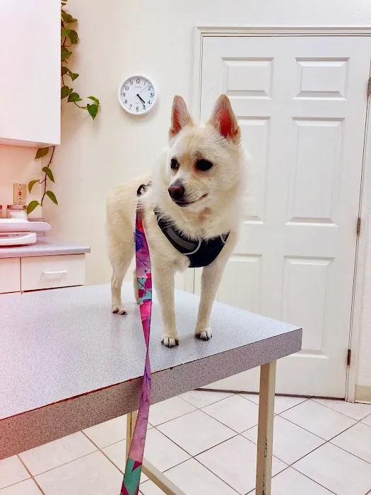 Orchard Animal Hospital 12