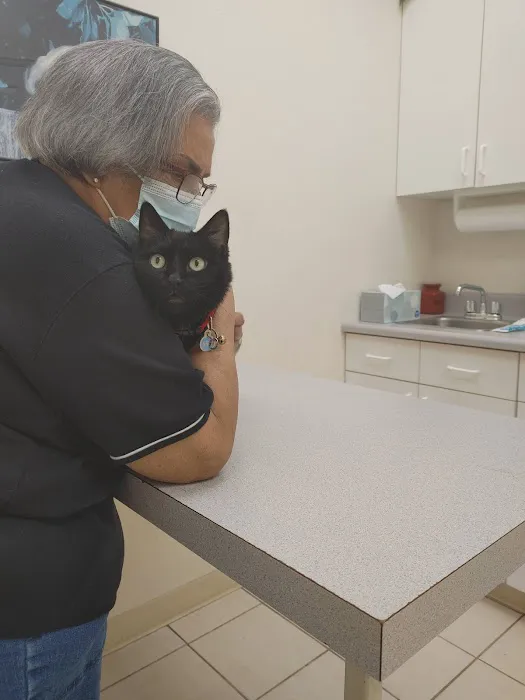 Orchard Animal Hospital 12