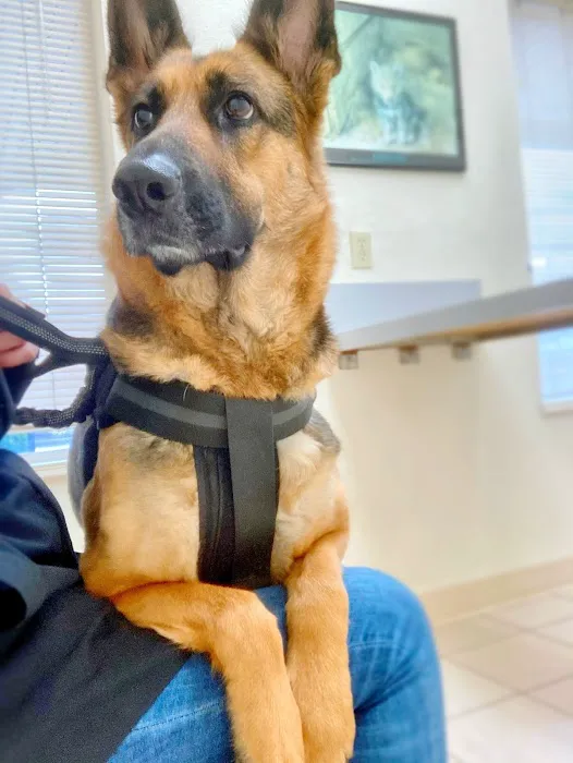 Orchard Animal Hospital 12