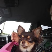 Polk Veterinary Clinic ico