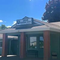 Dallas Animal Clinic ico