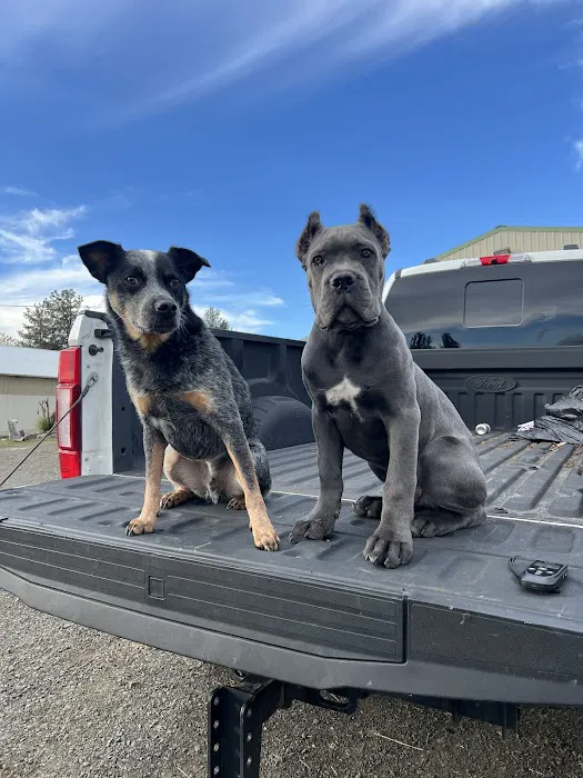 Dallas Animal Clinic 12