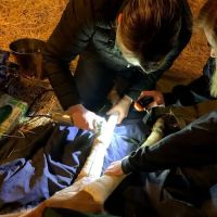 Northwest Equine Specialty Center ico