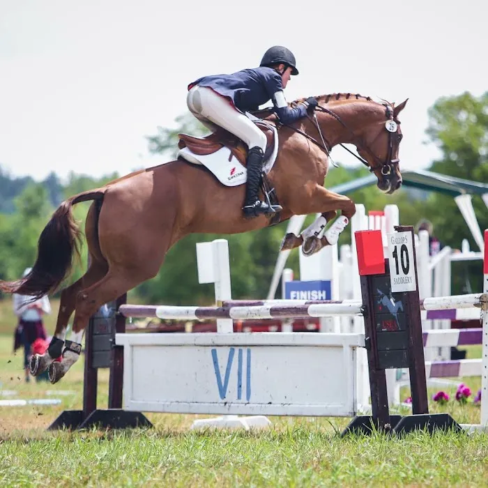 Northwest Equine Specialty Center 12