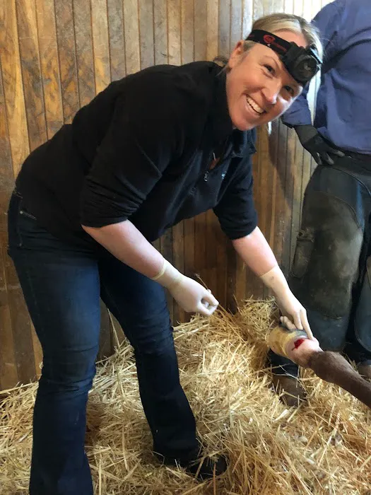Northwest Equine Specialty Center 12