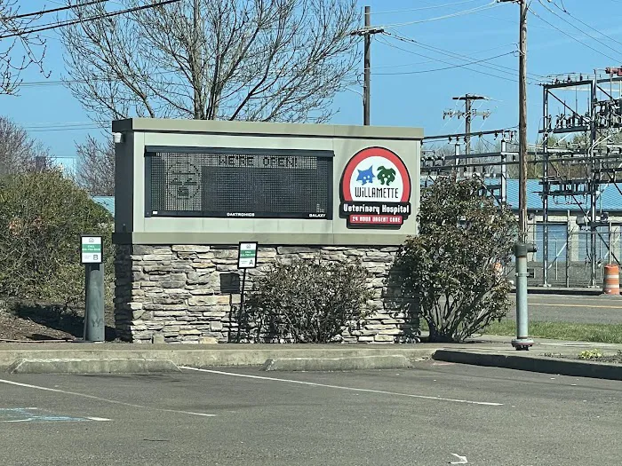 Willamette Veterinary Hospital 6