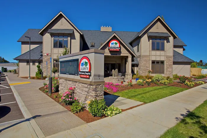 Willamette Veterinary Hospital 5