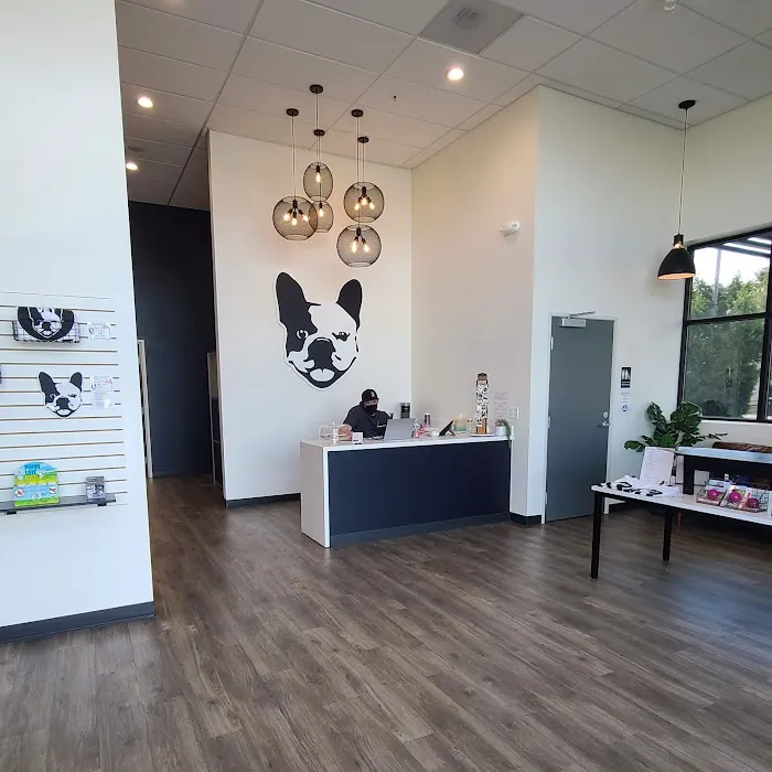Hello Vet Pet Wellness Center 12