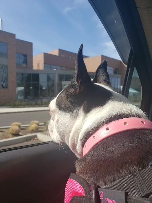 OSU Veterinary Teaching Hospital 12