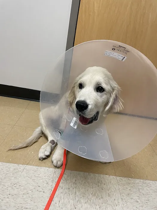 Lois Bates Acheson Veterinary Hospital: Large Animal Services 12