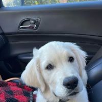 Lois Bates Acheson Veterinary Hospital: Large Animal Services ico