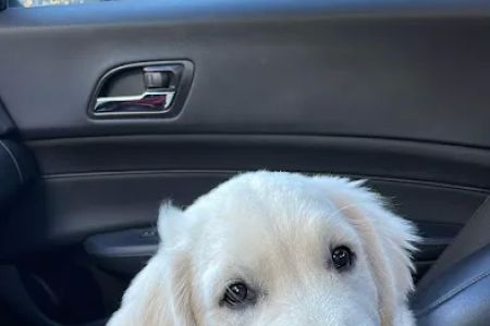 Lois Bates Acheson Veterinary Hospital: Large Animal Services