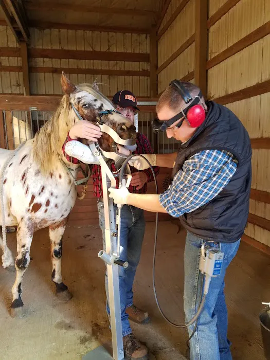 All Creatures Great and Small Veterinary Clinic 12