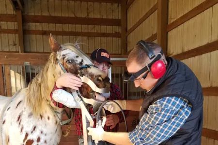 All Creatures Great and Small Veterinary Clinic