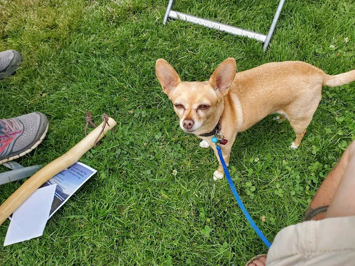 Alpine Animal Hospital 12