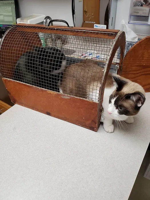 Alpine Animal Hospital 12
