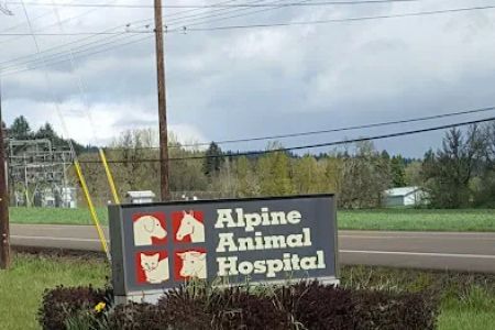 Alpine Animal Hospital PC: Clark Dale C DVM