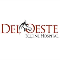 Del Oeste Equine Hospital LLC - Amber Lengele, DVM ico