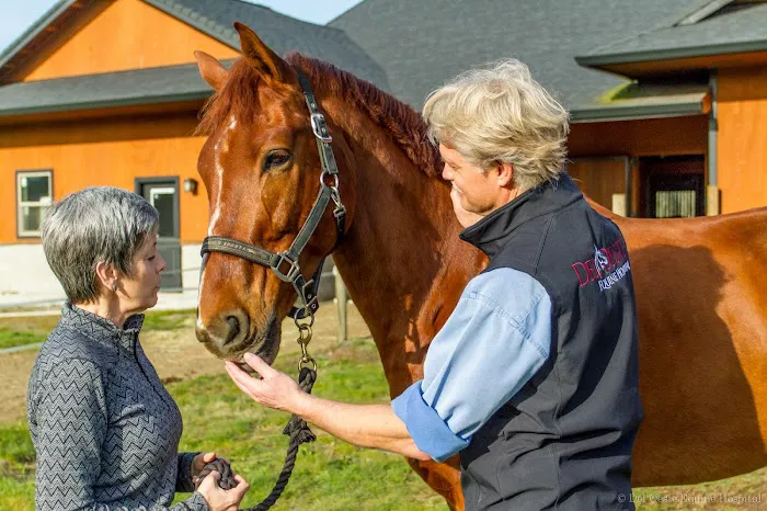Del Oeste Equine Hospital LLC - Chris Camp, DVM 1