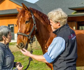 Del Oeste Equine Hospital LLC - Chris Camp, DVM