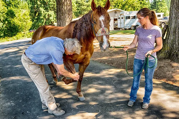 Del Oeste Equine Hospital LLC 1
