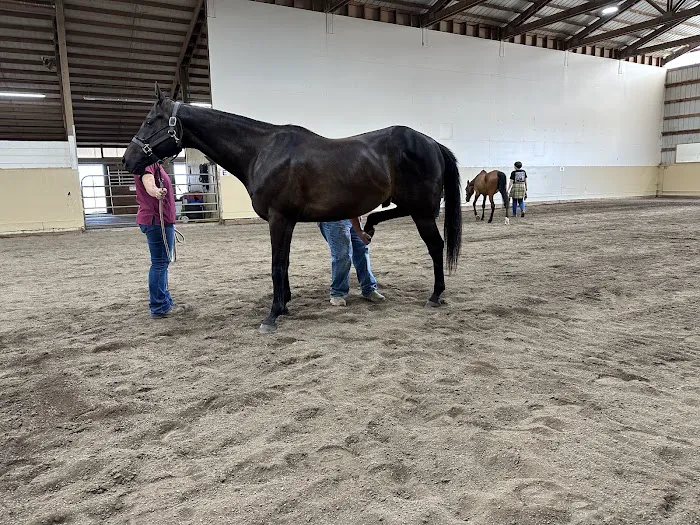 Del Oeste Equine Hospital LLC 8