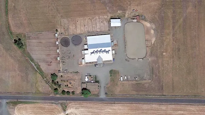 Del Oeste Equine Hospital LLC 4