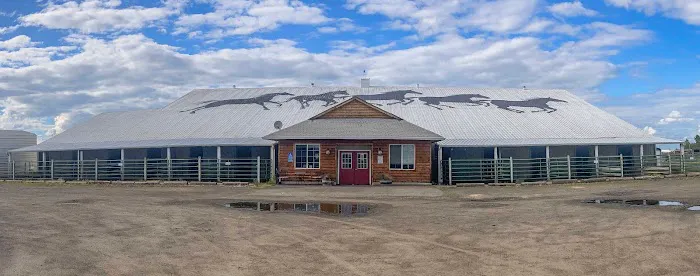 Del Oeste Equine Hospital LLC 9