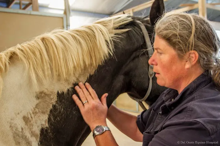 Del Oeste Equine Hospital LLC - Kathy Connell, DVM 2