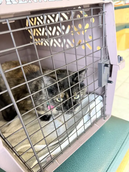 Riverbrook Animal & Eye Clinic 3
