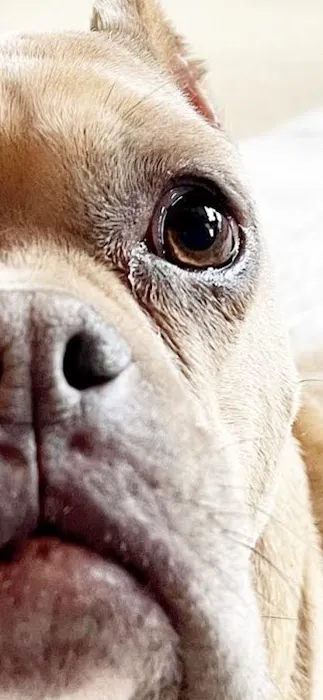 Riverbrook Animal & Eye Clinic 1