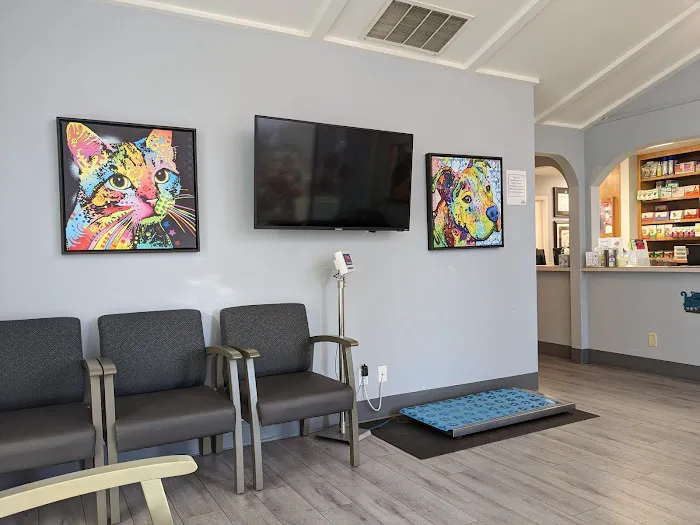 Santa Clara Animal Hospital 5