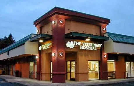 The Veterinary Hospital 6