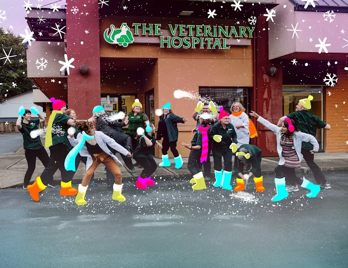The Veterinary Hospital 9