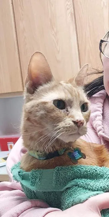 Echo Hollow Veterinary Hospital and Urgent Care 3