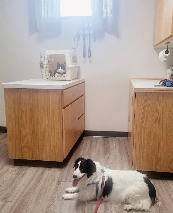 Echo Hollow Veterinary Hospital and Urgent Care 4