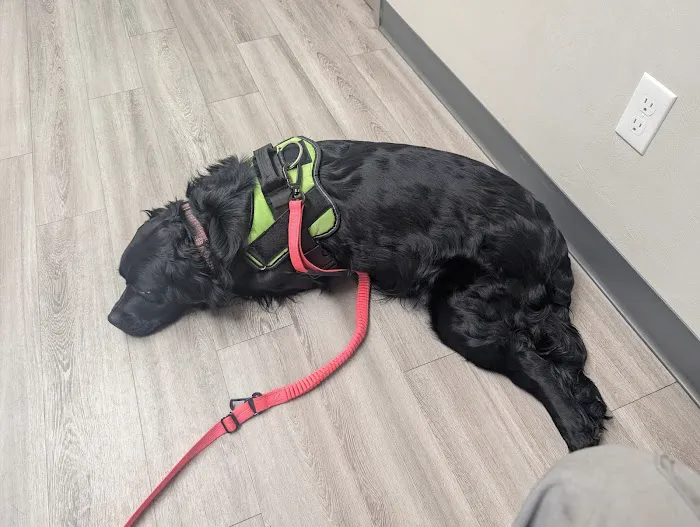 Echo Hollow Veterinary Hospital and Urgent Care 5