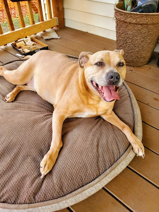Echo Hollow Veterinary Hospital and Urgent Care 7