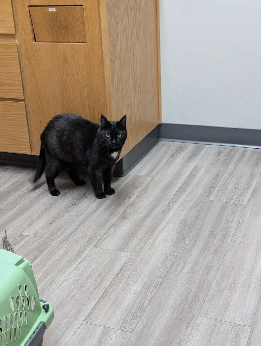 Echo Hollow Veterinary Hospital and Urgent Care 8