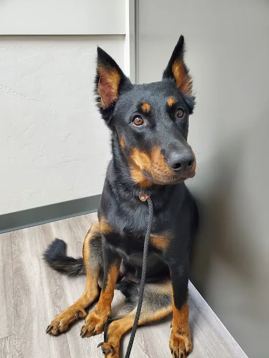 Echo Hollow Veterinary Hospital and Urgent Care 6
